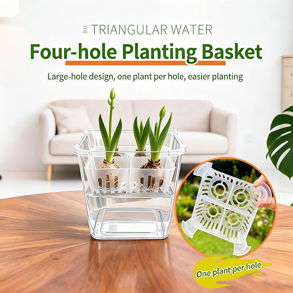 Hydroponic Grow Pod - 1pcs Hydroponic Planter Tulip Bulb Planter