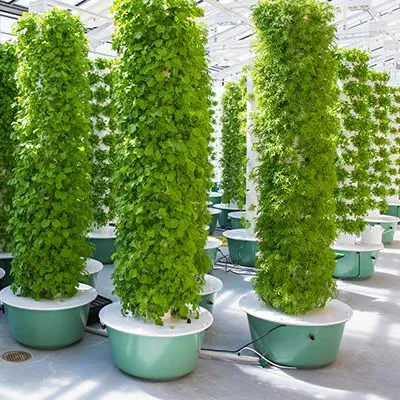 Aeroponics Towers Garden Syste - огляд і ціна Hydroponic Tower