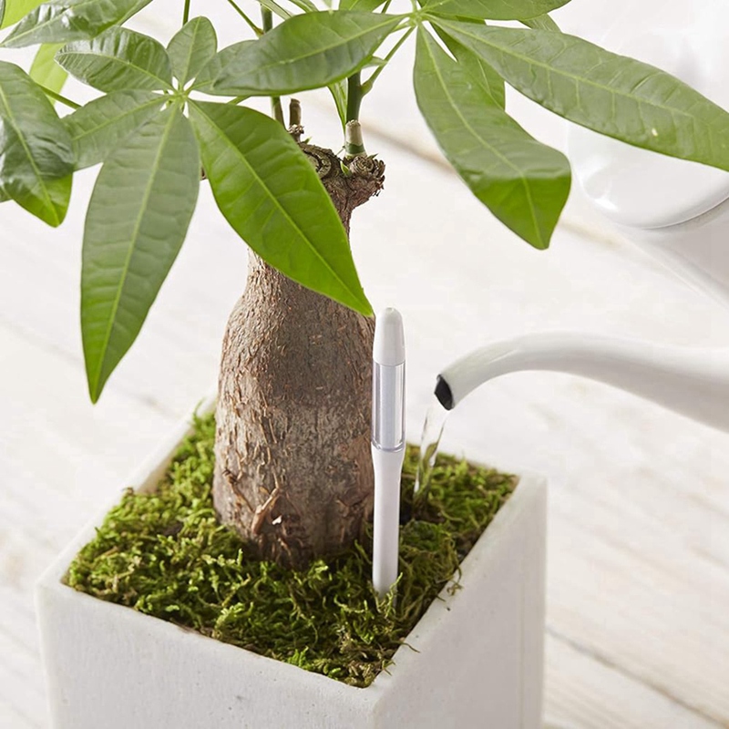 Aquameter, 5pcs, Plant Soil Mo - огляд і ціна Plant Sensor