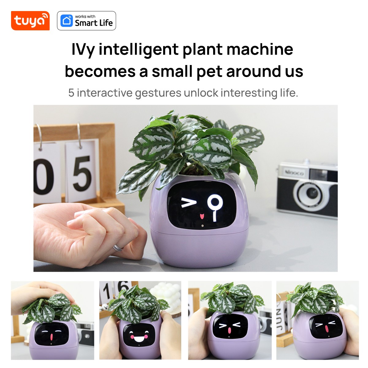 pink Tuya Ivy Smart Planter,En - огляд і ціна Smart Pot